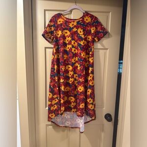 LulaRoe size XS dress NWOT